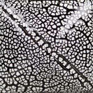 Mayco Specialty Glaze - SG-202 - White Cobblestone - 1 pint